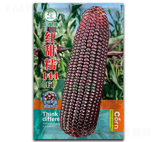 �t��Ŵ144���׷N��-�����N�I(y��)