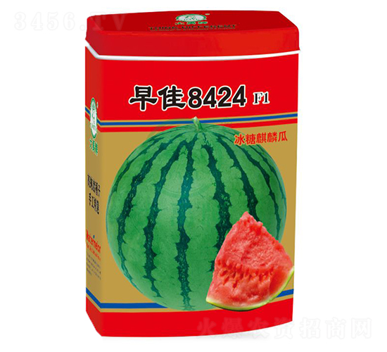 ���8424���ϷN��-�����N�I(y��)