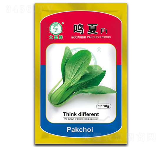 �Q�Ĵ�ײ˷N��-�����N�I(y��)