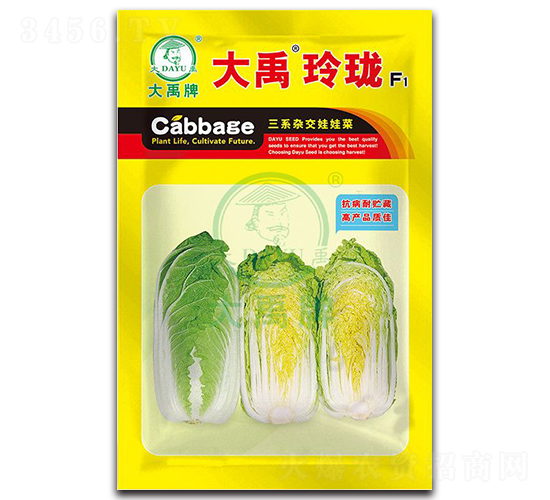 �����ᭇ��ײ˷N��-�����N�I(y��)