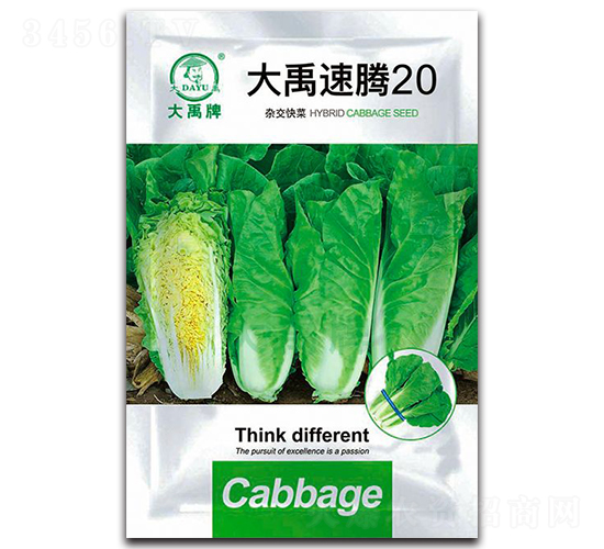 �������v20��ײ˷N��-�����N�I(y��)