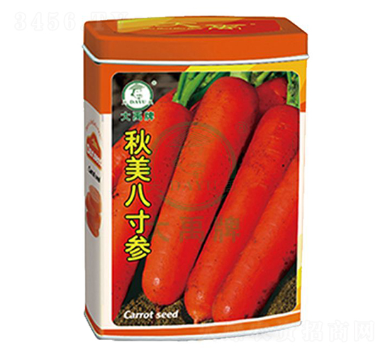 �����˴煢���}���N��-�����N�I(y��)