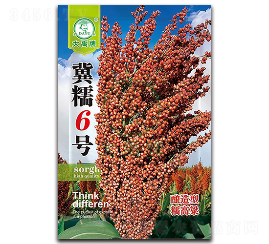 ��Ŵ6̖(h��o)�����N��-�����N�I(y��)