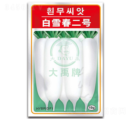 ��ѩ����̖-�}���N��-�����N�I(y��)