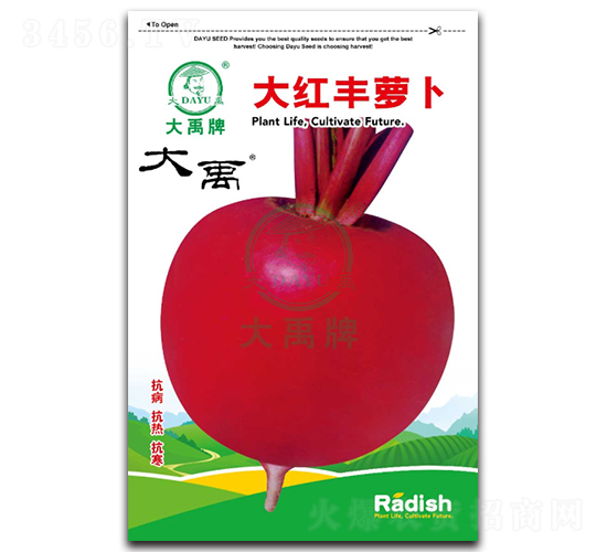 ��t�S�}���N��-�����N�I(y��)