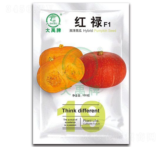 �t�������ϹϷN��-�����N�I(y��)