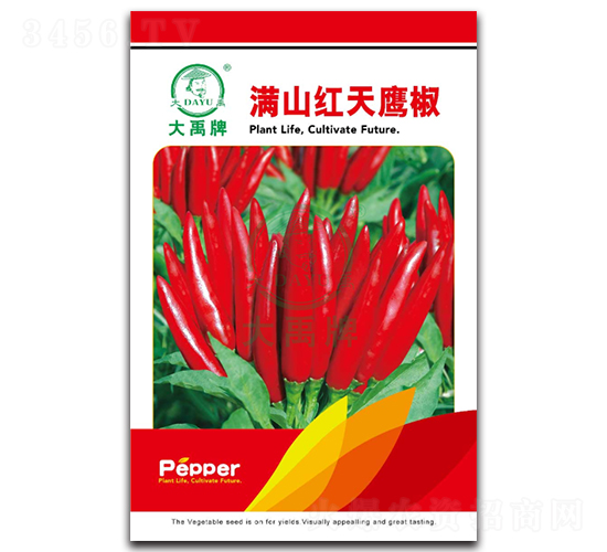 ��ɽ�t������-�����N��-�����N�I(y��)