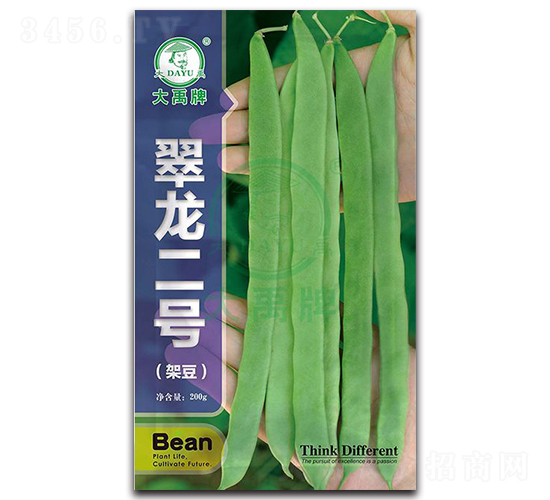 ������̖(h��o)-�ܶ��N��-�����N�I(y��)