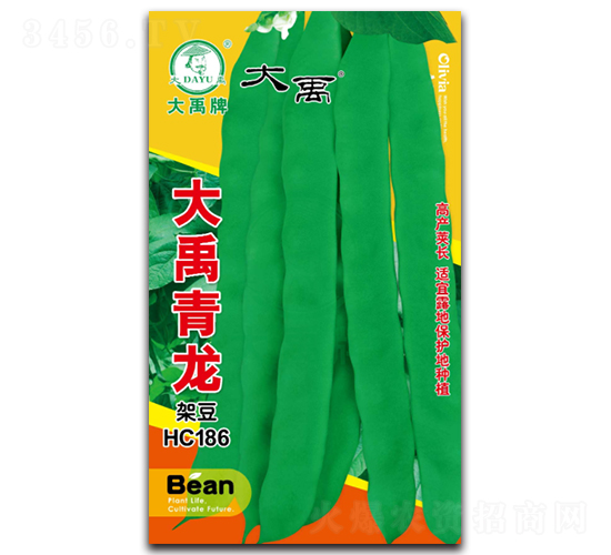 ��������-�ܶ��N��-�����N�I(y��)