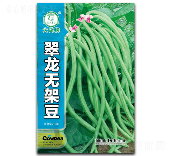 �����o(w��)�ܶ�-�ܶ��N��-�����N�I(y��)