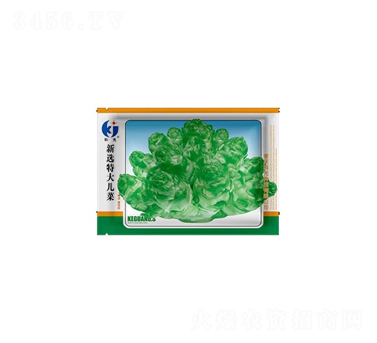 ���x�ش󃺲�-�ƹ�N��