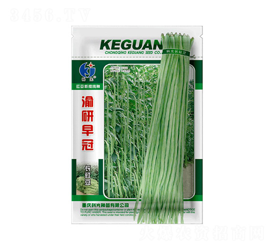 �������-�ƹ�N��