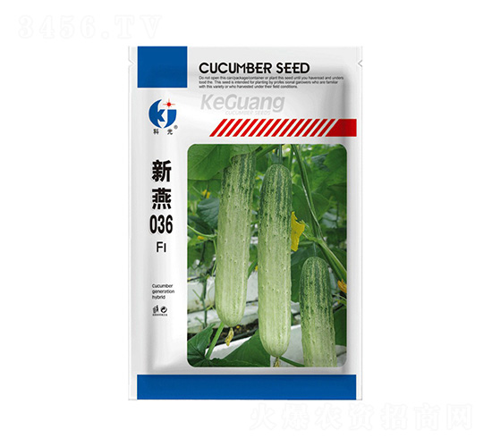 ����036-�ƹ�N��