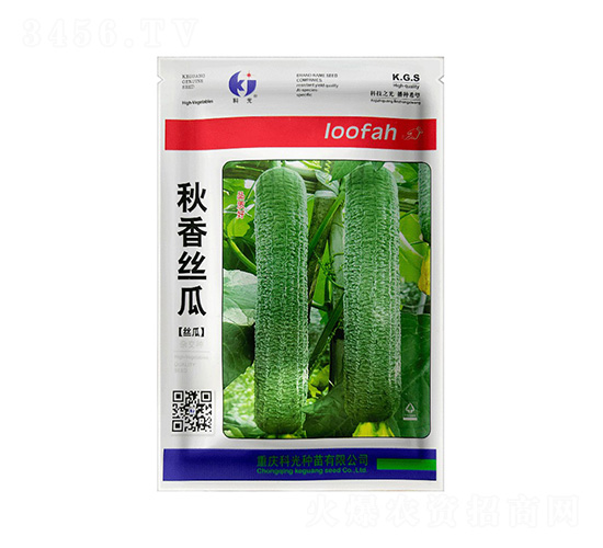 ����z��-�ƹ�N��