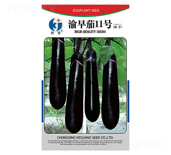 ������11̖-�ƹ�N��