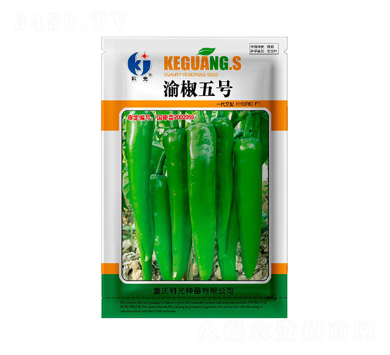 �彷5̖(h��o)-�ƹ�N��