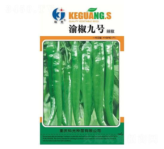 �彷9̖(h��o)-�ƹ�N��