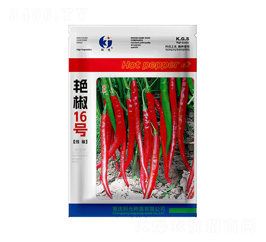 �G��16̖(h��o)-�ƹ�N��