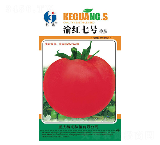 ��t7̖-�ƹ�N��