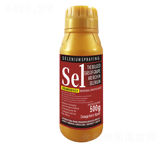 500��������������������1̖-�����r��