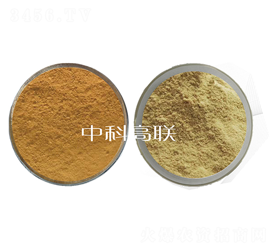 �~����ø1̖+2̖ˮ��ø-��˹�r(n��ng)