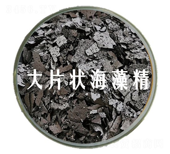 ��Ƭ��徫-��˹�r(n��ng)