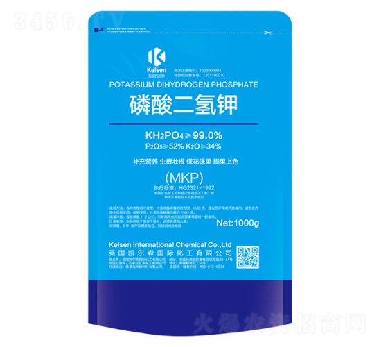 ��������-�P��ɭ-����Ƽ�