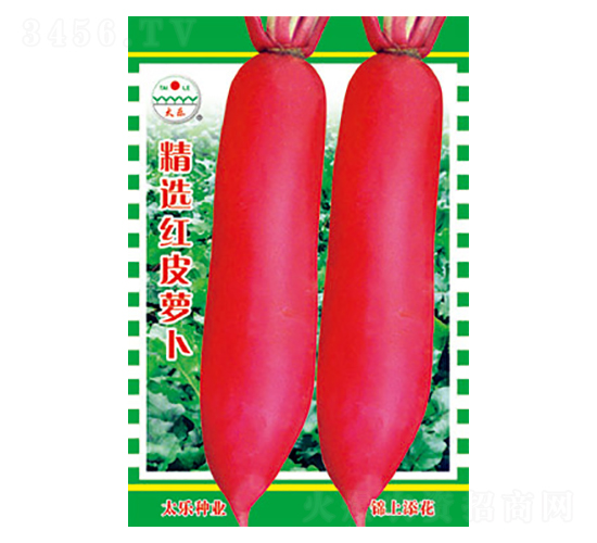 �}���N��-���x�tƤ�}��-̫��(l��)�N�I(y��)