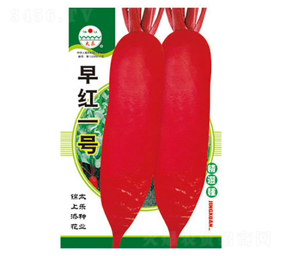 �}���N��-��tһ̖-̫���N�I(y��)