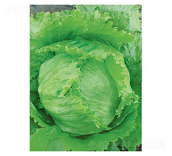 ���˷N��-̫���N�I(y��)