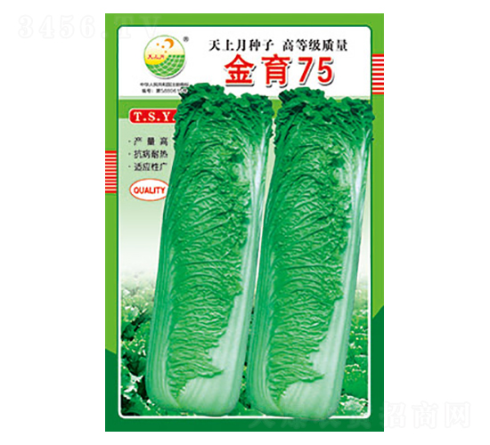 �ײ˷N��-����75-̫��(l��)�N�I(y��)