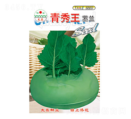 ���m�N��-���������m-̫���N�I(y��)