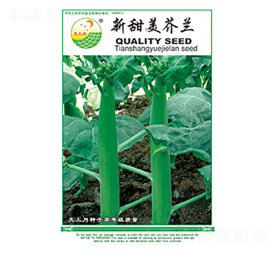 ���m�N��-���������m-̫���N�I(y��)