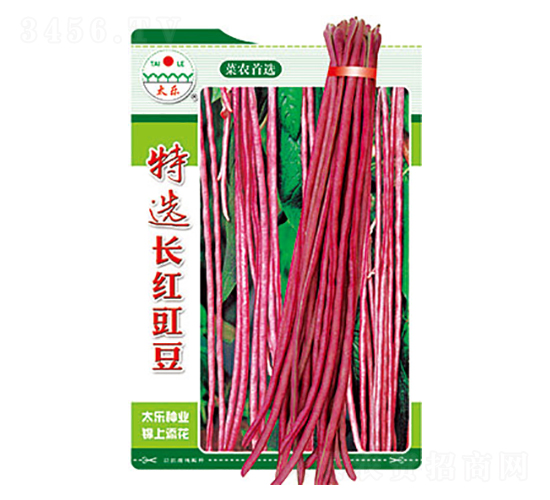 �����N��-���x�L(zh��ng)�t����-̫���N�I(y��)