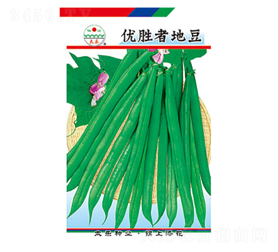 �����N��-��(y��u)���ߵض�-̫���N�I(y��)