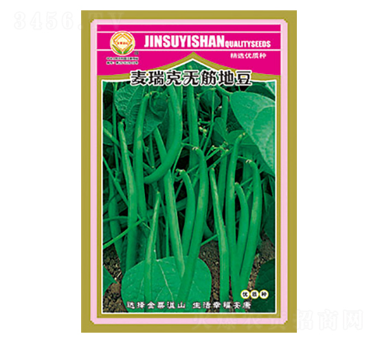 �����N��-����˟o(w��)��ض�-̫��(l��)�N�I(y��)