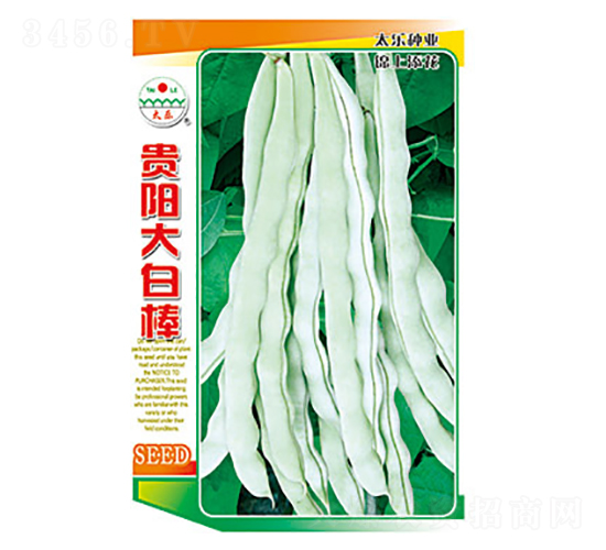 �����N��-�Fꖴ�װ�-̫���N�I(y��)