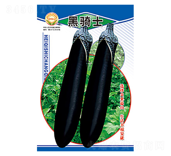 ���ӷN��-���Tʿ-̫��(l��)�N�I(y��)