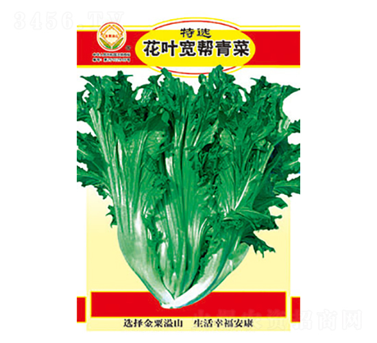 ��˷N��-���x���~�������-̫���N�I(y��)