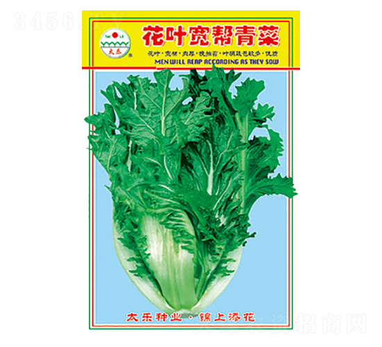 ��˷N��-���~�������-̫���N�I(y��)