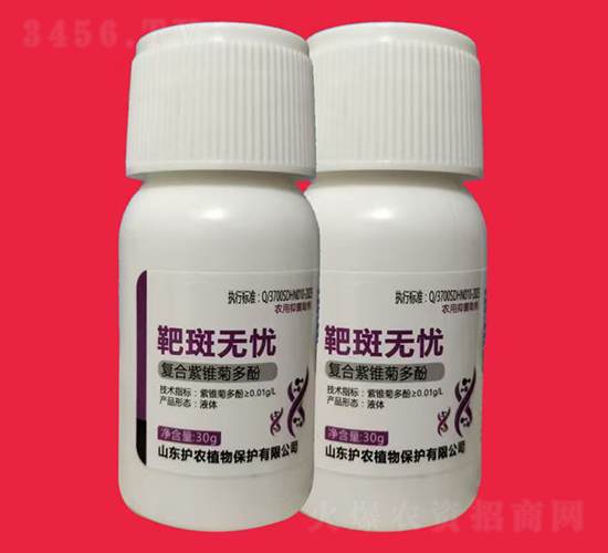 �аߟo�n-�V�V����ˎ������-�o(h��)�r(n��ng)ֲ��