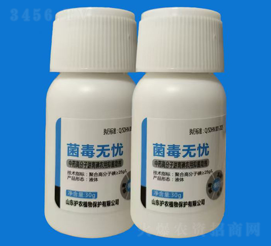 �����o�n-�V�V����ˎ������-�o�rֲ��