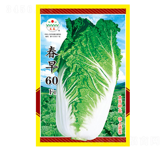 �ײ˷N��-����60F1-̫���N�I(y��)