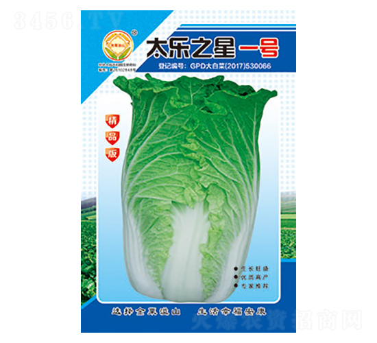 �ײ˷N��-̫��֮��һ̖��Ʒ��-̫���N�I(y��)