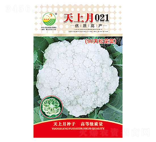 �׻�Ҭ�˷N��-������021-̫���N�I(y��)