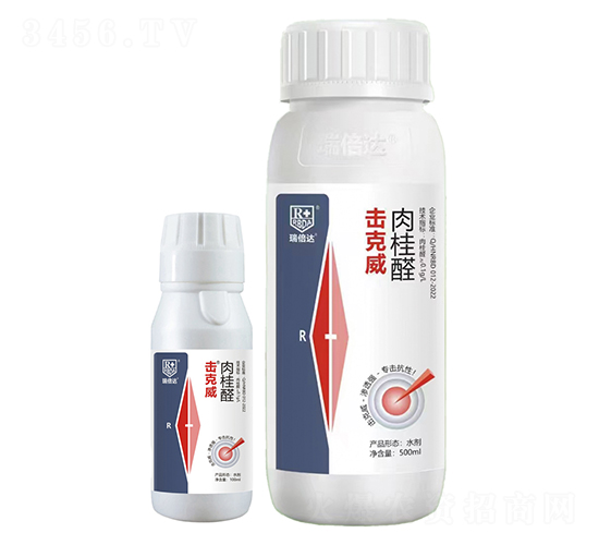 ���ȩ-������-���_(d��)