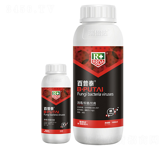 ����̩-���_(d��)