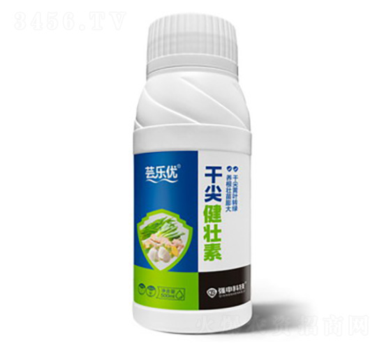 �ɼ⽡����-�|����(y��u)-��(qi��ng)��Ƽ�