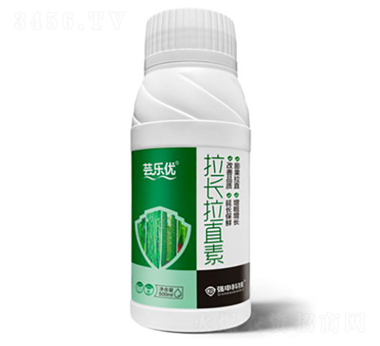 ���L(zh��ng)��ֱ��-�|��(l��)��(y��u)-��(qi��ng)��Ƽ�