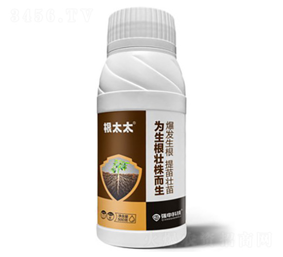 ��̫̫���������������-��(qi��ng)��Ƽ�